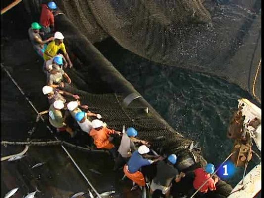  - Atuneros en el Índico