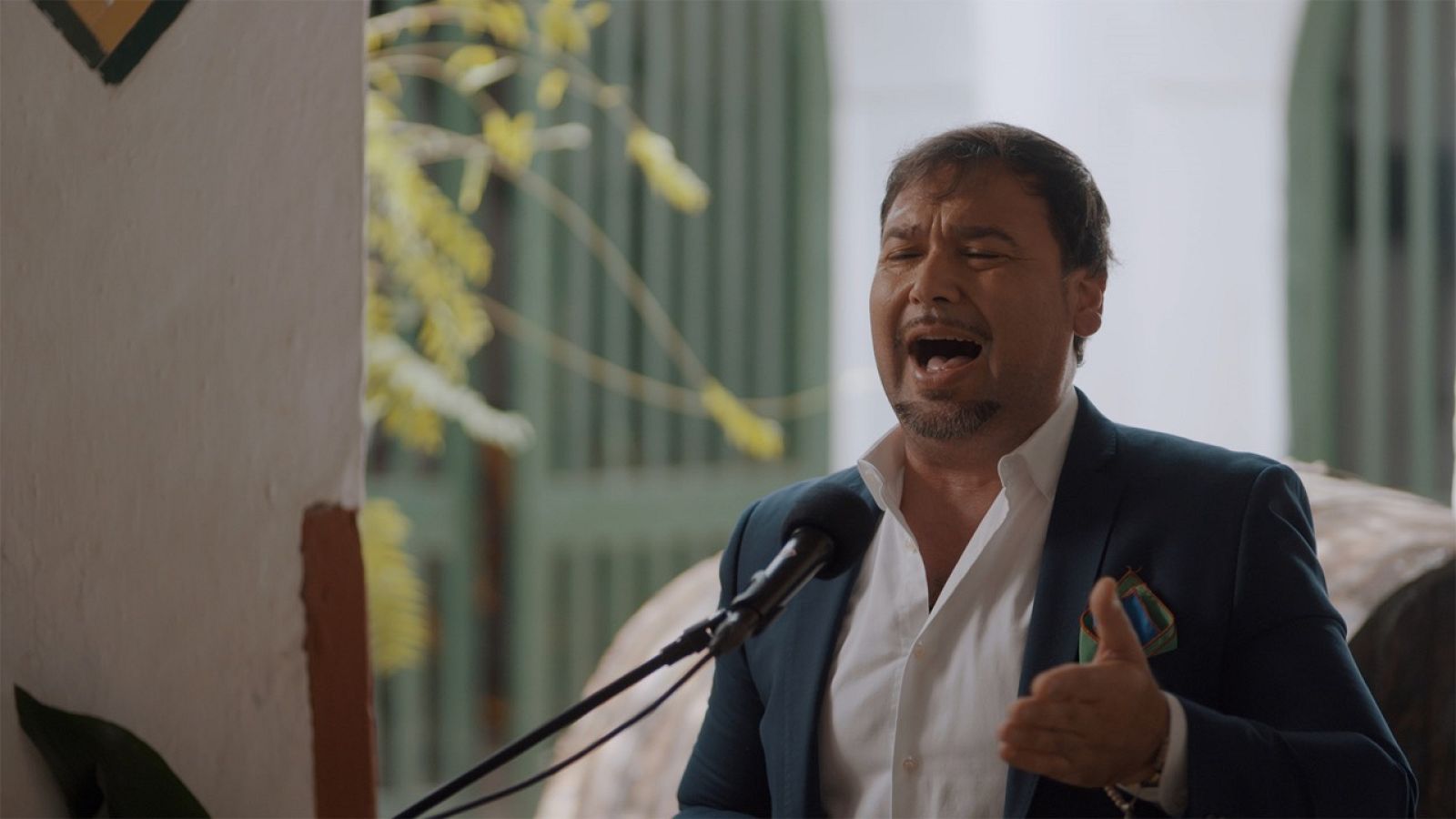 Actuación de Jose Valencia en Caminos del flamenco