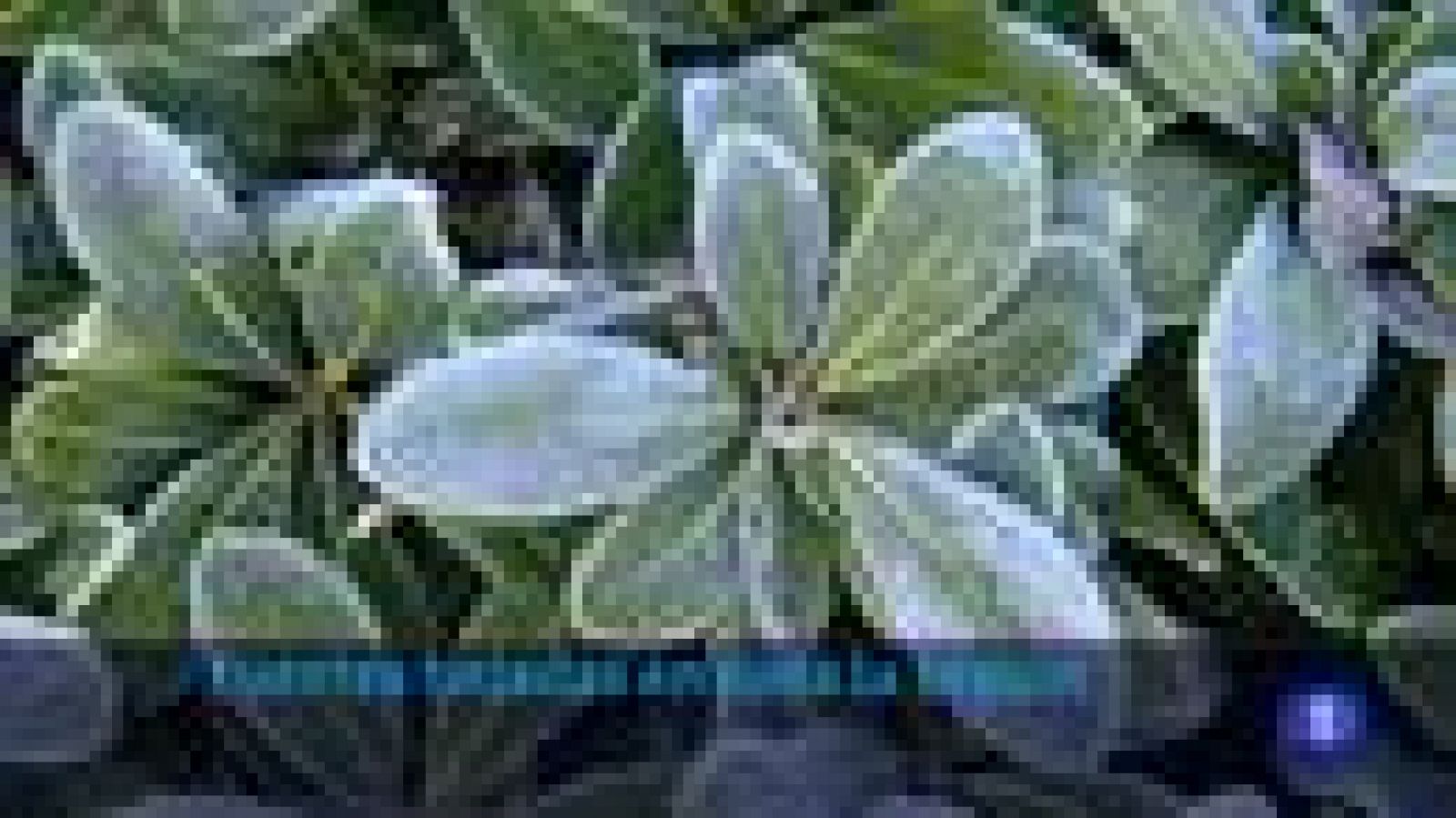 El tiempo en La Rioja - 24/01/22-Ver ahora