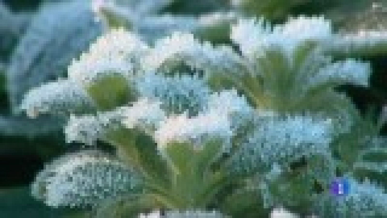 Panorama Regional - 24/01/22 | Ver