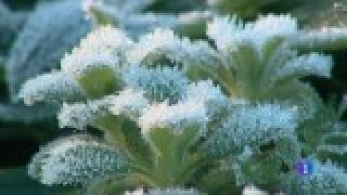 Panorama Regional - Panorama Regional - 24/01/22