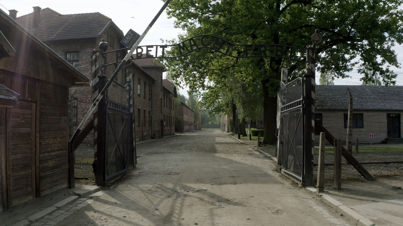 Documentos TV - Las huellas de Auschwitz - Documental en RTVE.es