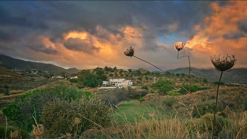 Posibilidad de algún chubasco localmente fuerte y con intervalos de viento fuerte en el área del Estrecho. - ver ahora