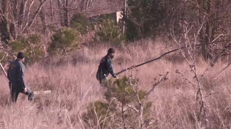 ¿Dónde está la mujer desaparecida en Valladolid? El único detenido pasa a disposición judicial - Ver ahora
