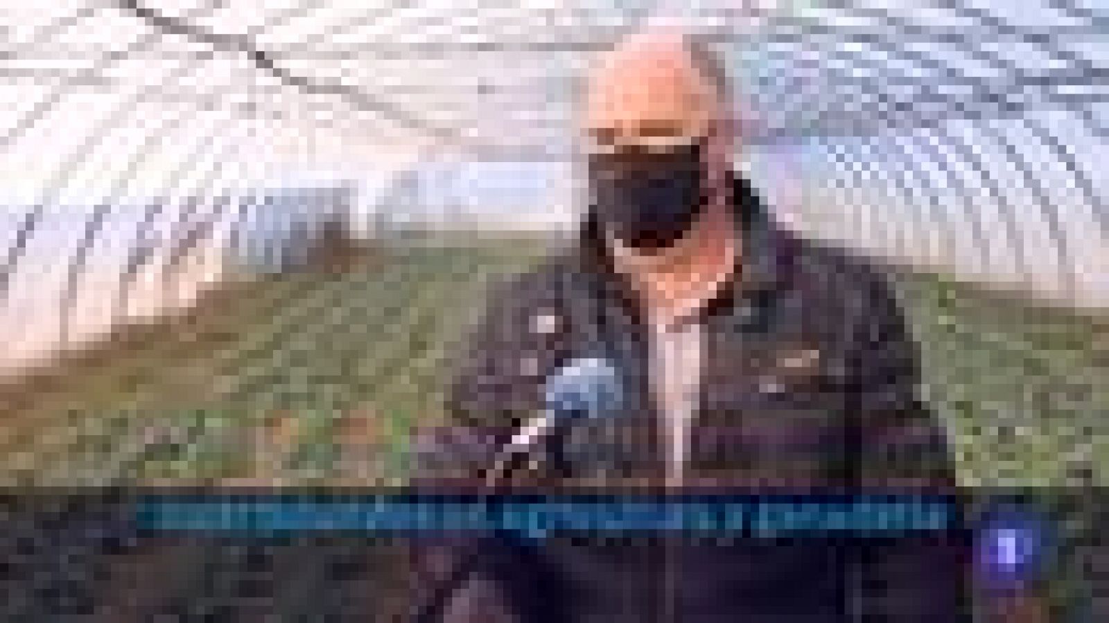 Informativo Telerioja - 25/01/22-Ver ahora