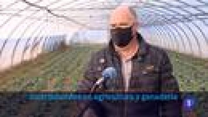 Informativo Telerioja - Informativo Telerioja - 25/01/22