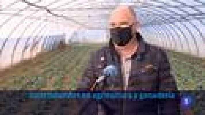 Informativo Telerioja - Informativo Telerioja 2 - 25/01/22