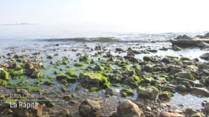  - Imatges de les minves de gener