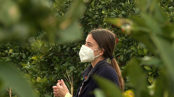 L'informatiu - Comunitat Valenciana - Regalar naranjas en señal de protesta por los precios