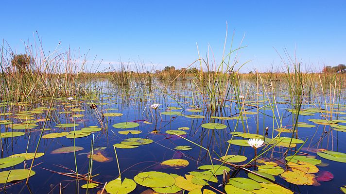 El delta del Okavango