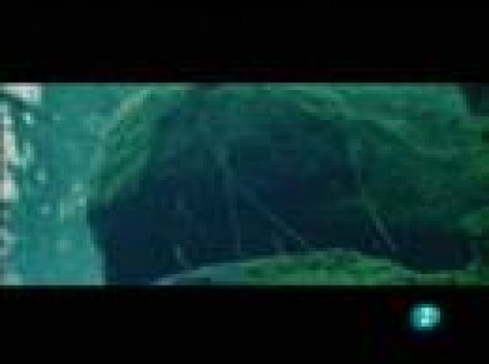 Días de cine - 'Luna nueva'