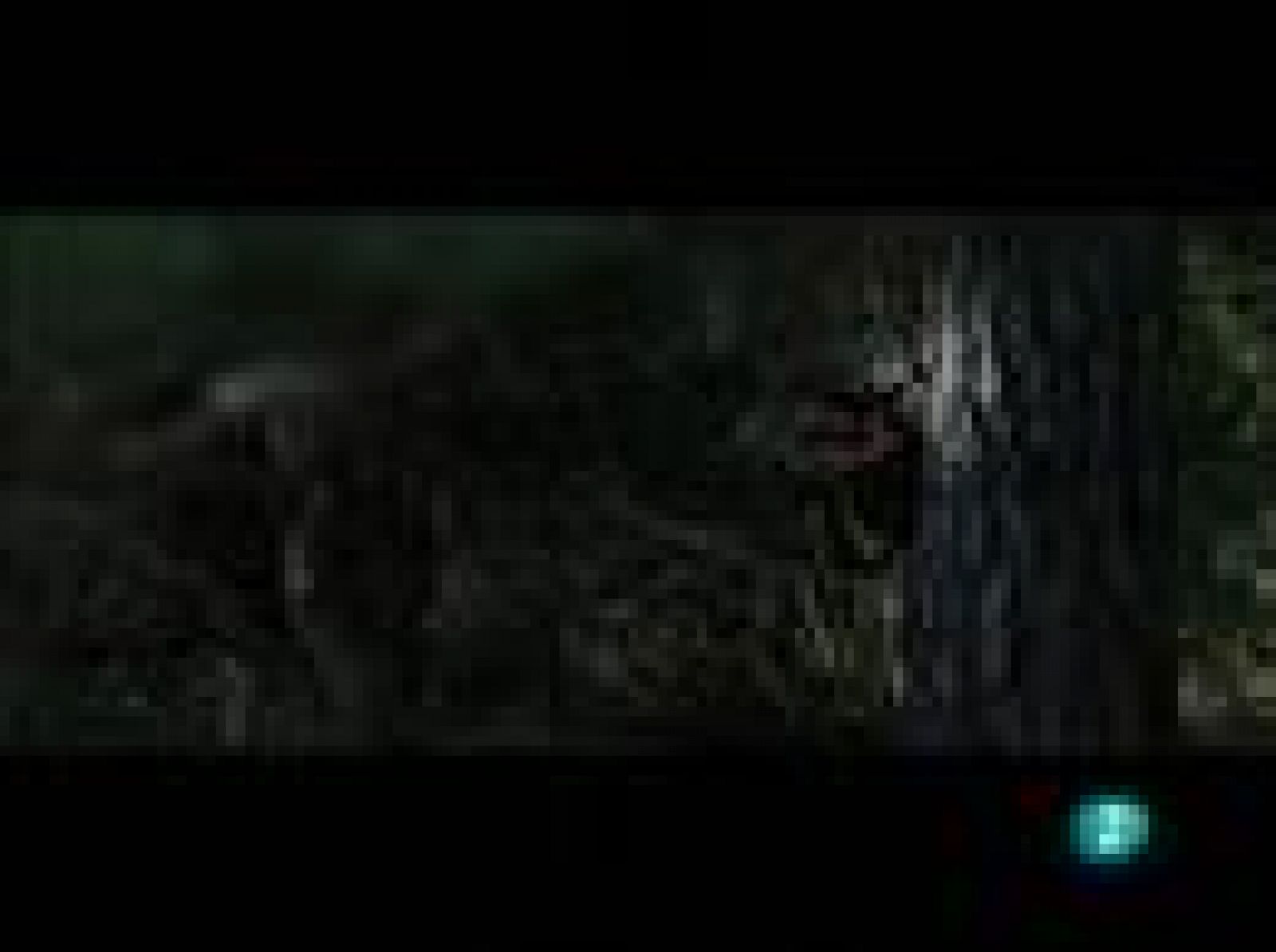 Días de cine - DVD: 'Transformers 2', 'Millennium 1' y 'El Placer' | Ver