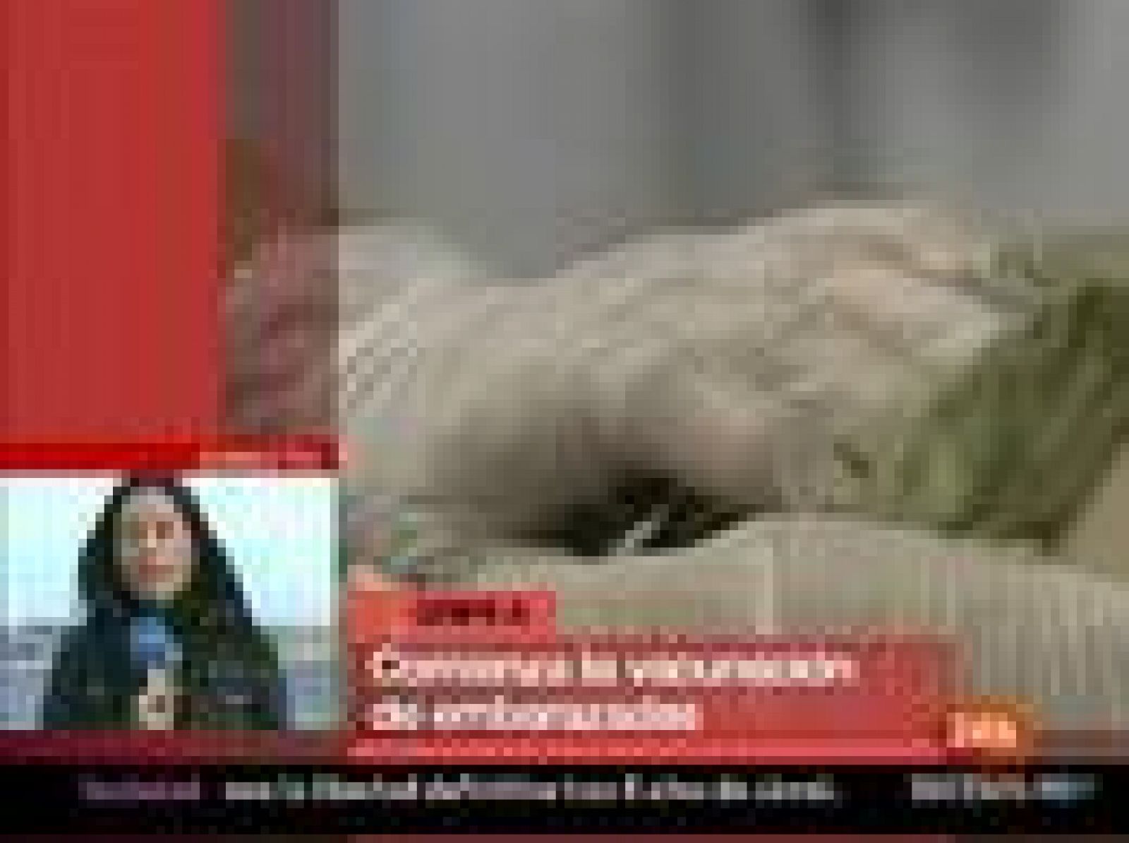 Comienzan a vacunarse contra la gripe A las mujeres embarazadas de Cantabria | Ver