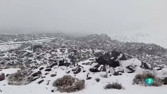 Telecanarias - Telecanarias 2 - 26/01/2022