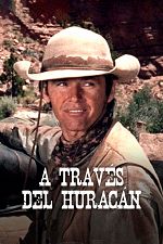 Poster de A través del huracán