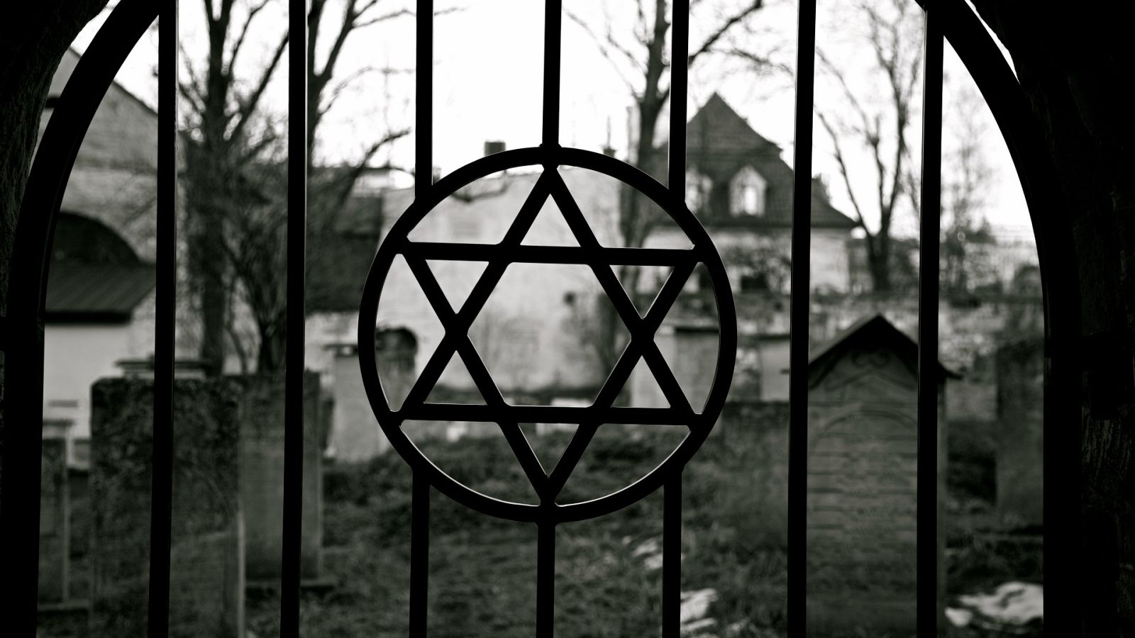 Las mujeres que lucharon contra los nazis | Ver