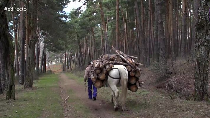 España Directo - España Directo - 27/01/22