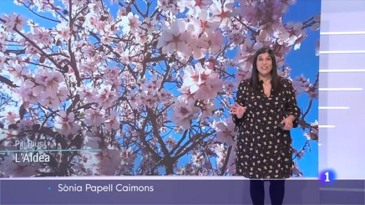 El temps - Paisatges gelats i flors de primavera