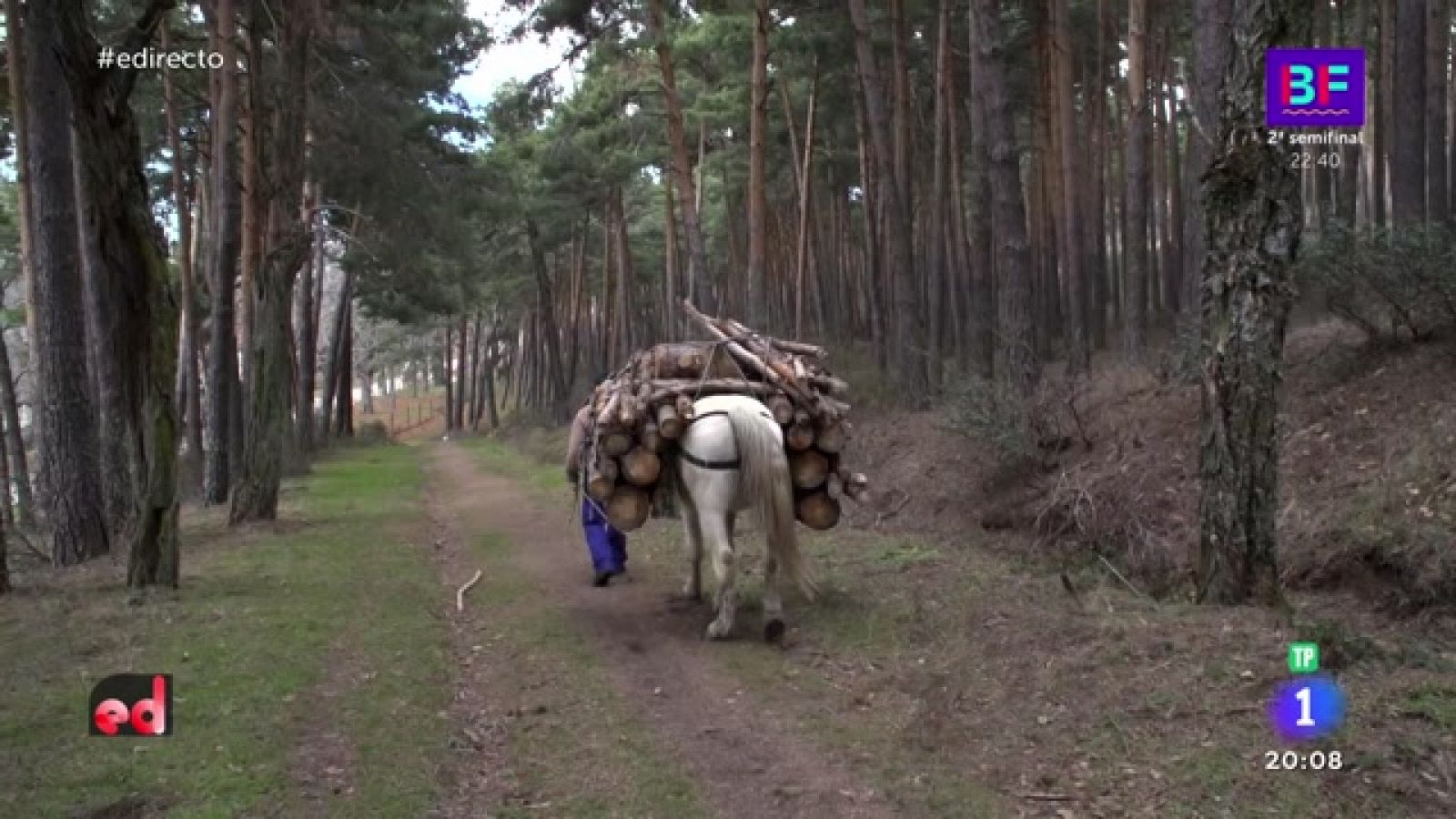 Atlas de lo pequeño: Gabarreros, serradores y mucha madera