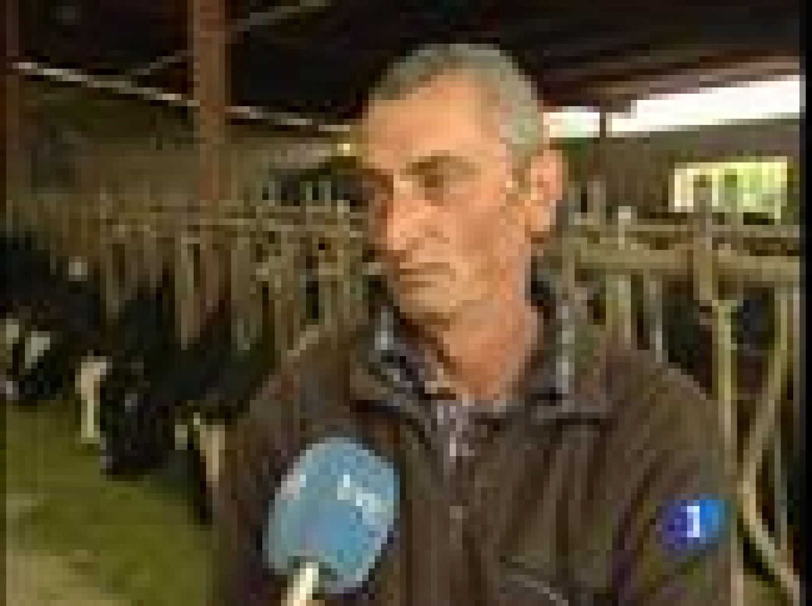 A los ganaderos no les cuadran las cuentas | Ver