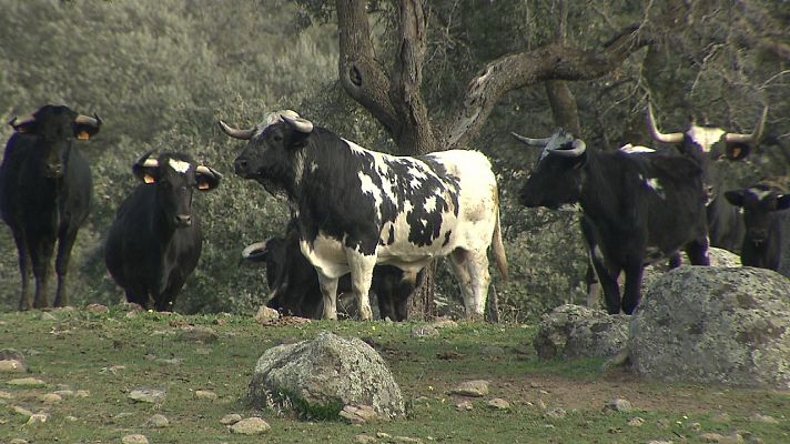 Tendido cero - Tendido cero - 29/01/22