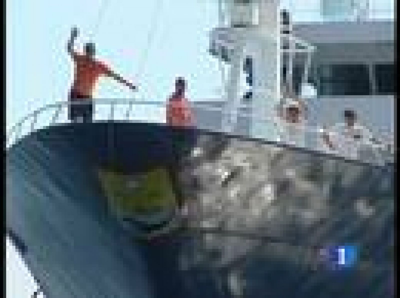 En las islas Seychelles los familiares se reencuentran con sus seres queridos | Ver