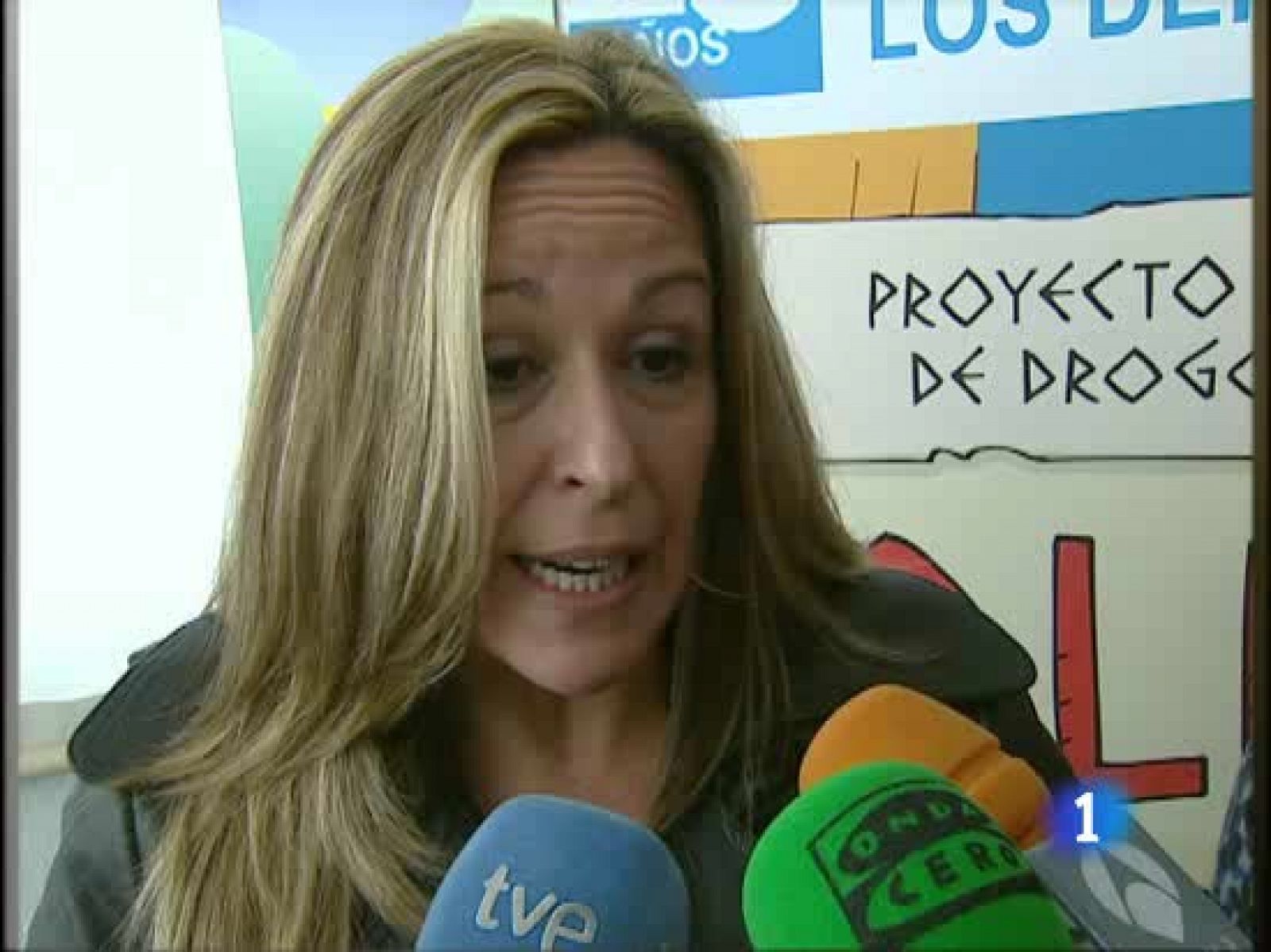 La ministra de Sanidad habla sobre la vacuna contra la gripe A para embarazadas