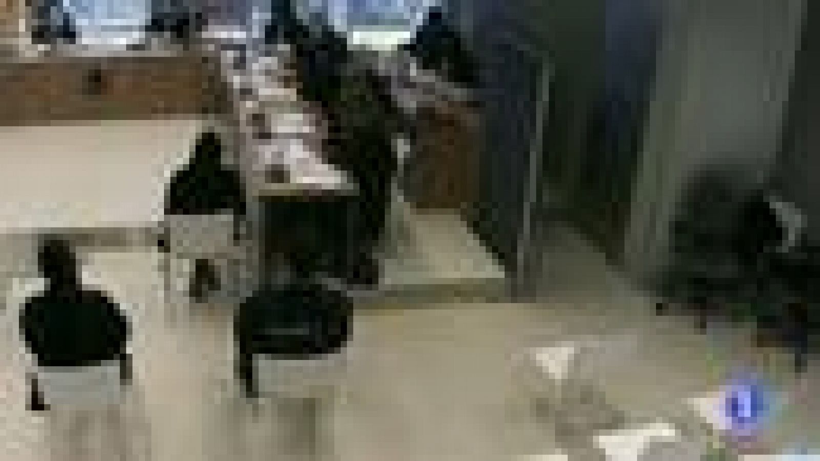 Informativo Telerioja - 31/01/22-Ver ahora