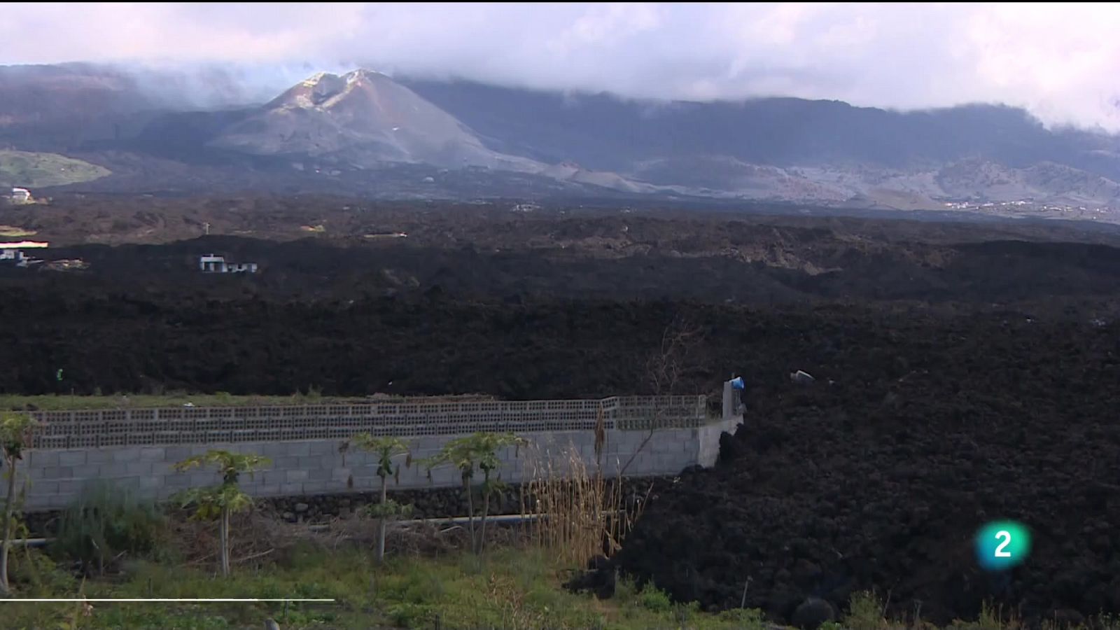 Telecanarias 2 - 31/01/2022 | Ver