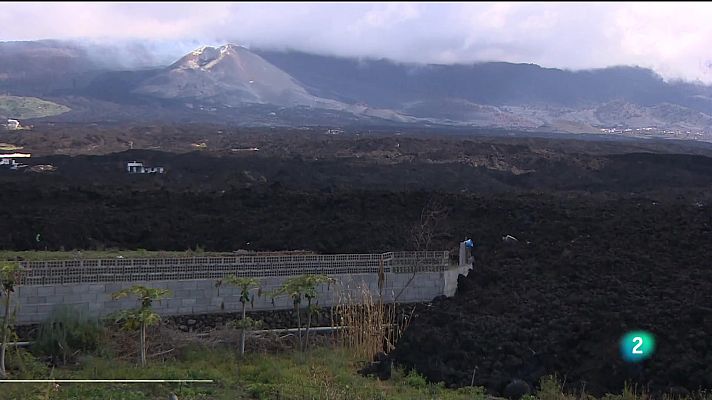 Telecanarias - Telecanarias 2 - 31/01/2022