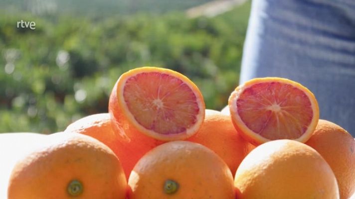 ¿Cómo distinguir las variedades de naranjas?