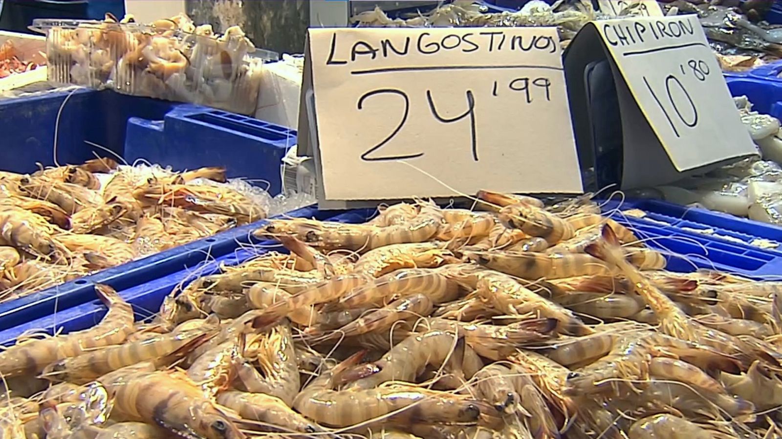 Las capturas de langostino en Sanlúcar de Barrameda caen un 50 %