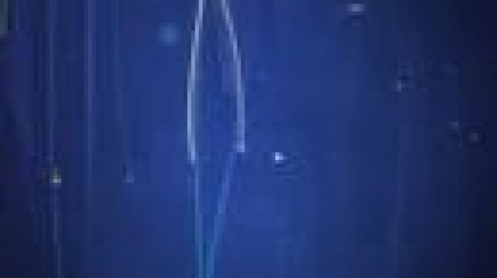 Noticias Andalucía - Noticias Andalucía - 02/02/2022