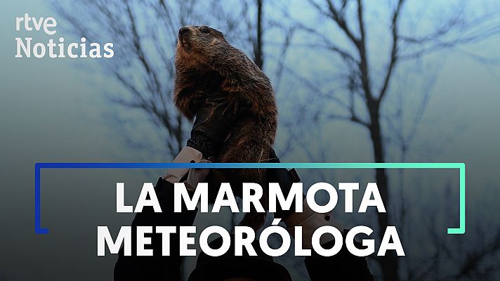 Modo Digital - Nueva Jersey cancela la celebración del Día de la Marmota por la muerte del animal