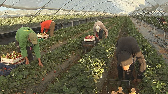 Noticias Andalucía - Polémica por la proposición de ley