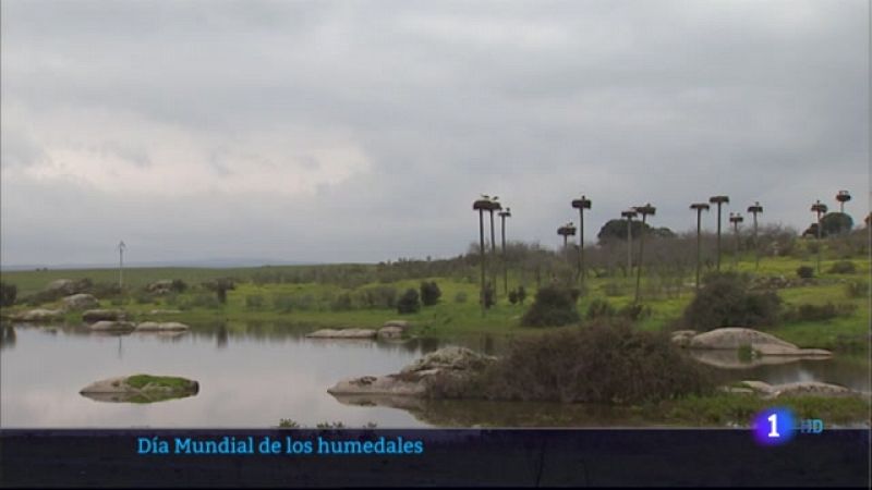 Día Mundial de los humedales - 02/02/2022