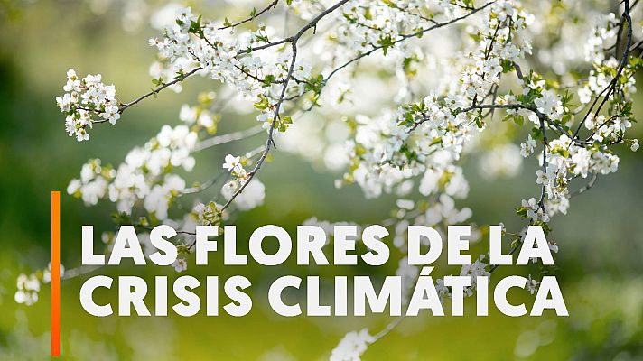 Comienza en Reino Unido la floración un mes antes de lo esperado por el cambio climático