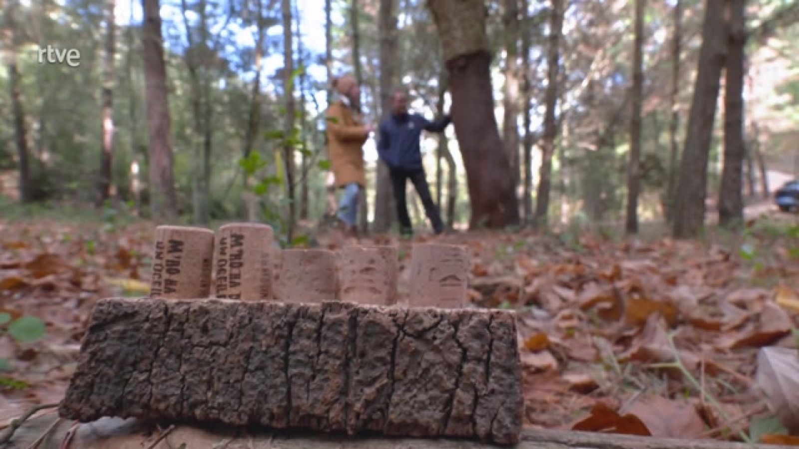 Los tipos y usos de la madera