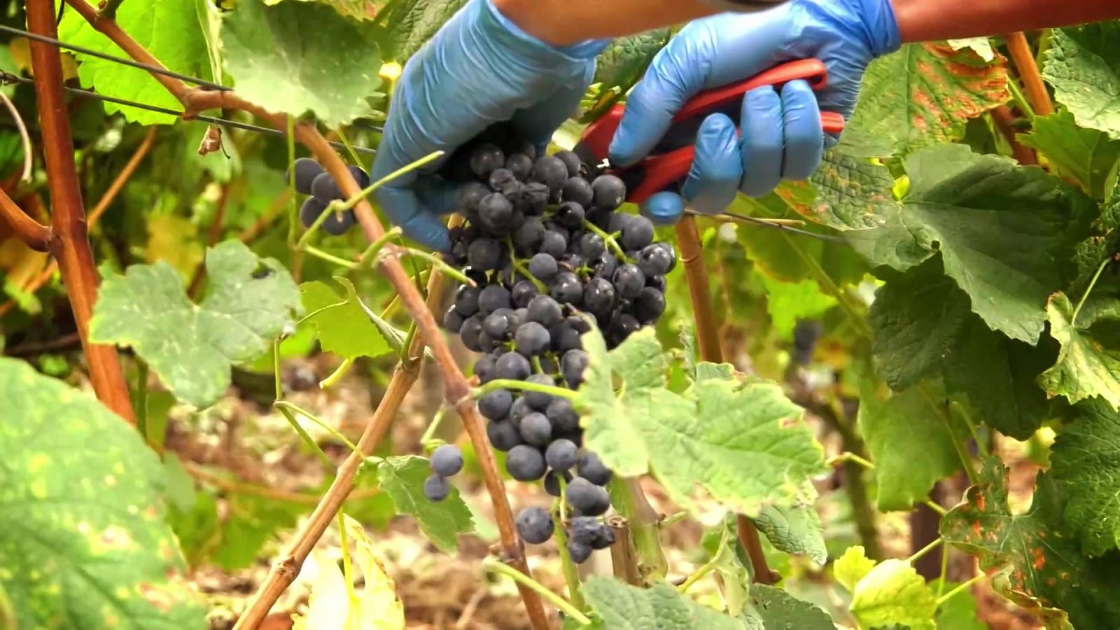 UNED - 04/02/22 - ver ahora