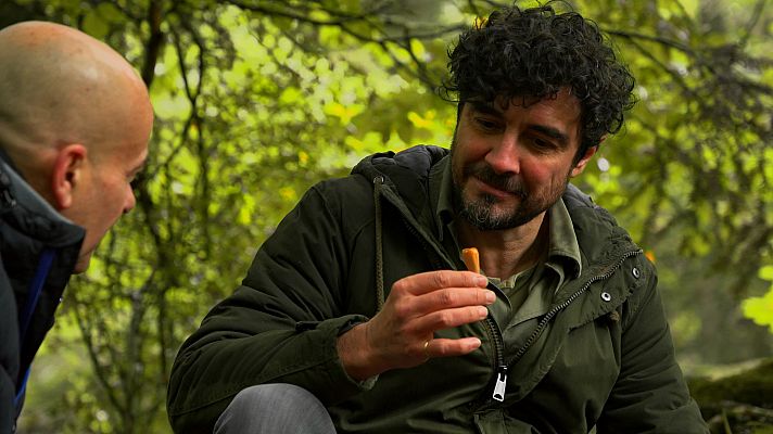 El señor de los bosques - Selva de Oza (Huesca)