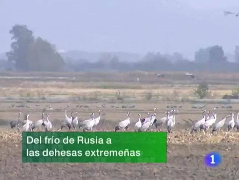  Noticias Extremadura. Informativo Territorial de Extremadura. (23/11/09)