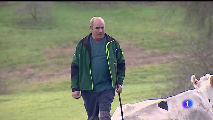 Telediario 1 - La producción láctea ecológica conserva la biodiversidad y el bienestar animal