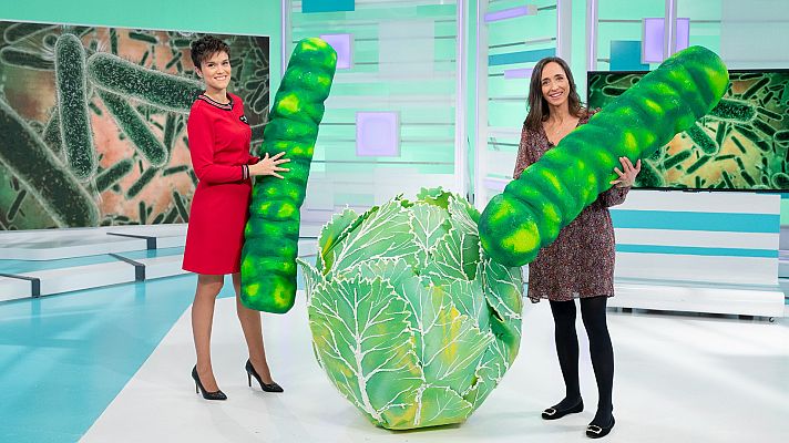 Saber vivir - Cuida tus bacterias prehistóricas, con Mariana Aróstegui