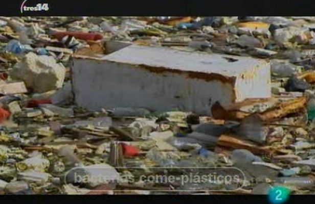 tres14 - Últimas noticias