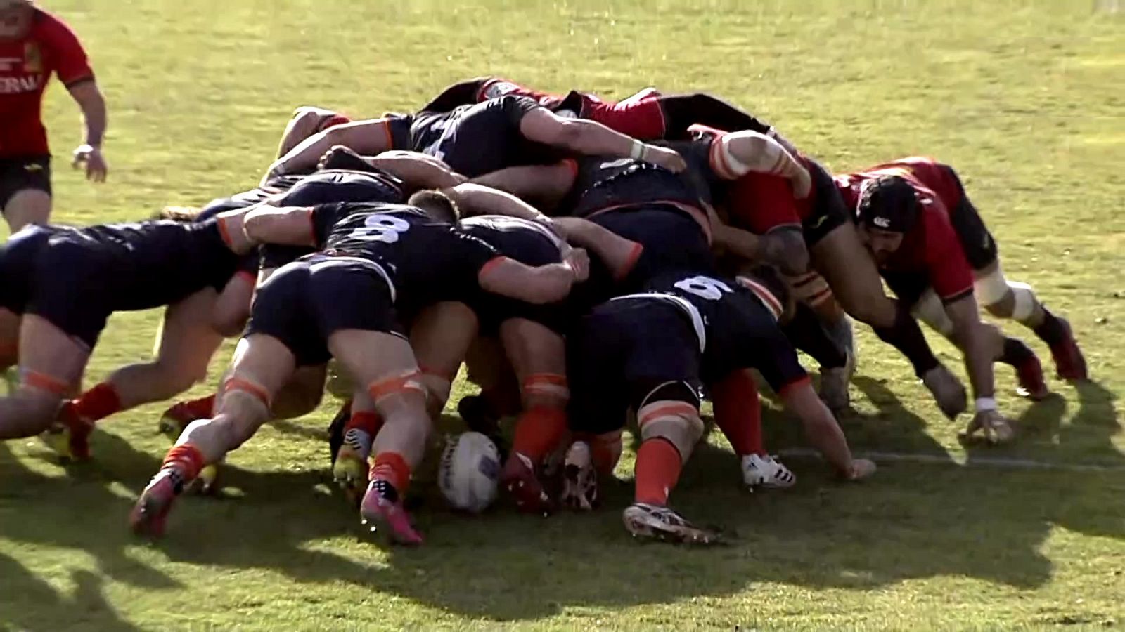 Rugby: Campeonato de Europa masculino: España - Países Bajos