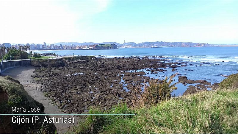 Heladas en el interior de la mitad norte - ver ahora