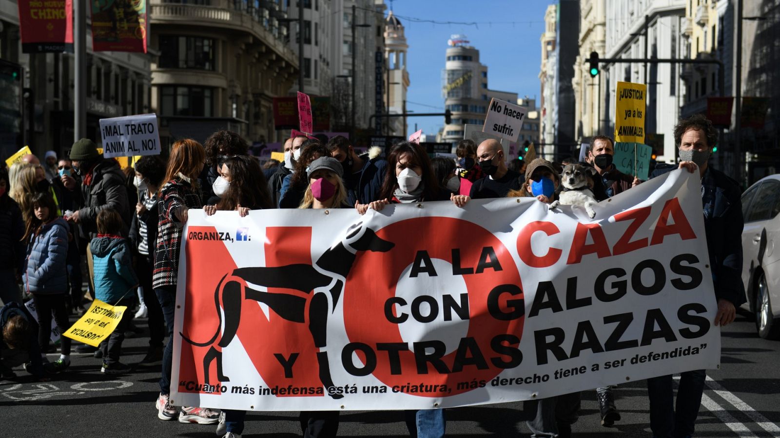 Asociaciones animalistas protestan en contra de la caza