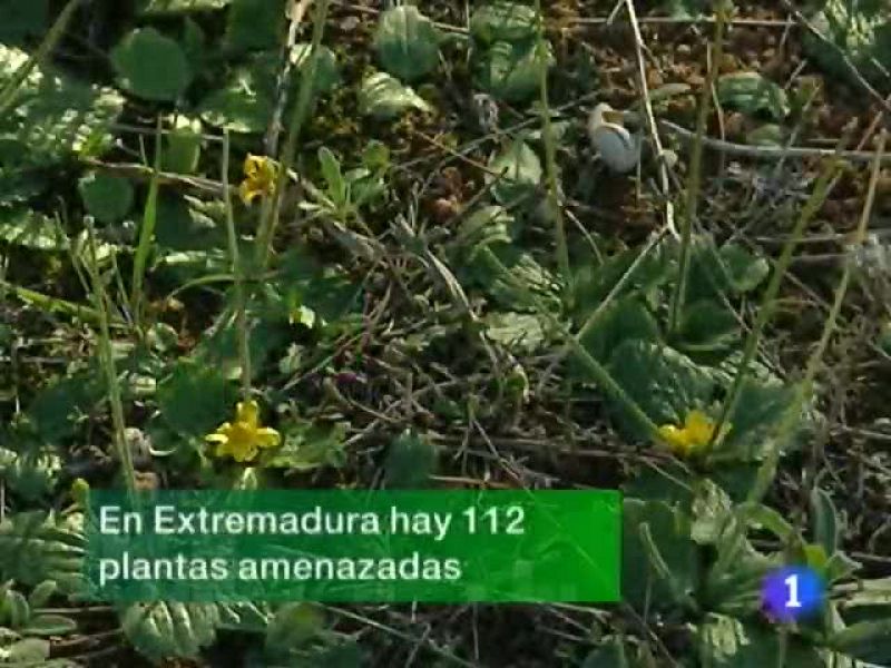  Noticias de Extremadura. Informativo Territorial de Extremadura. (24/11/09)