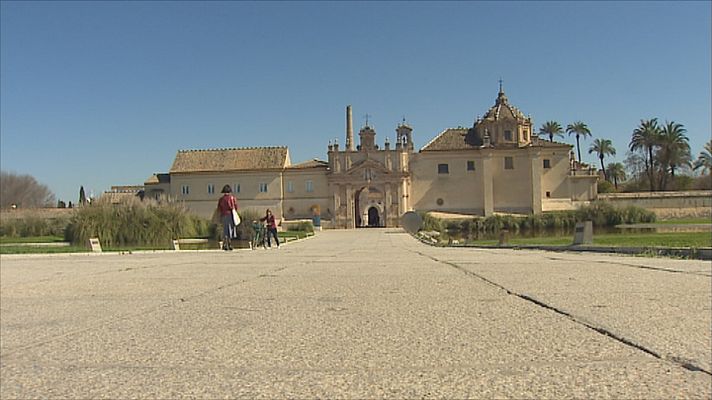 Noticias Andalucía - Nueva temporada en el CAAC