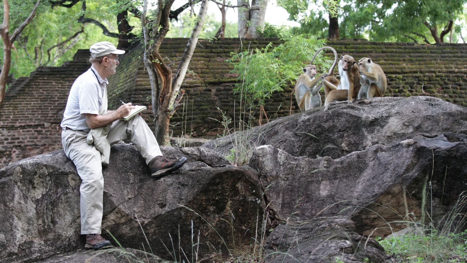 Somos documentales - Una vida entre monos - Ver ahora